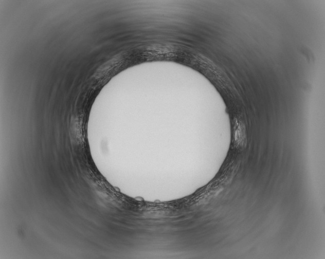 X0000110690819200907101146