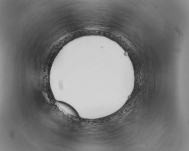 X0000110690821200907101146