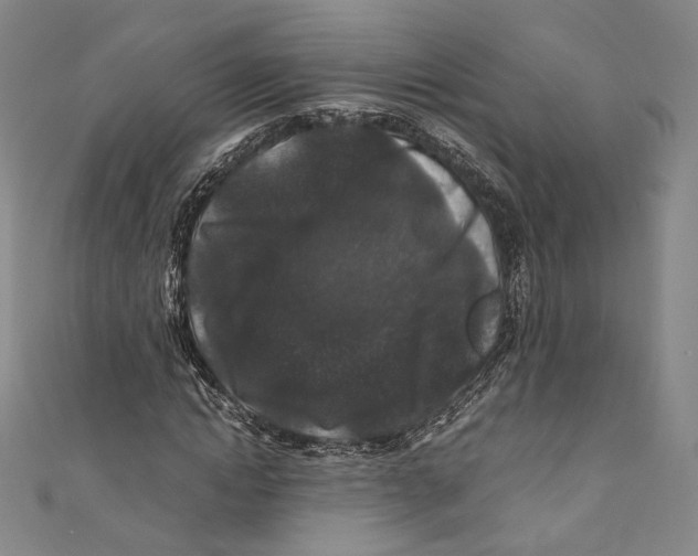 X0000110690822200907101146