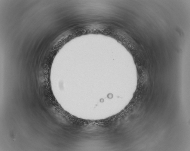 X0000110690824200907101147