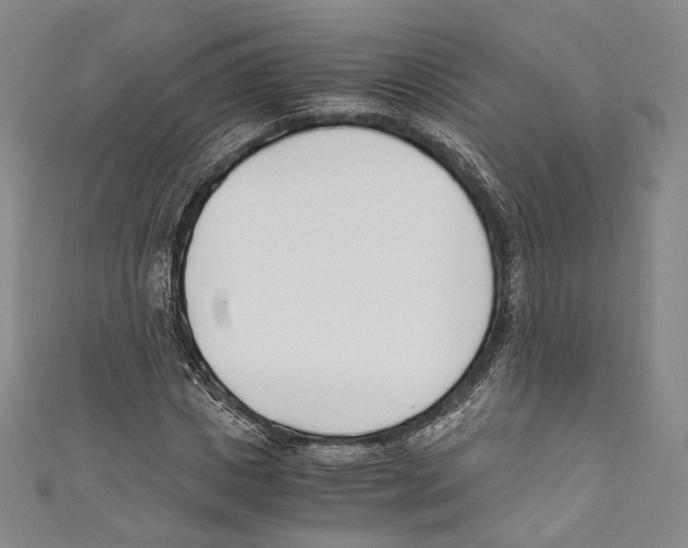 X0000110690825200907101147