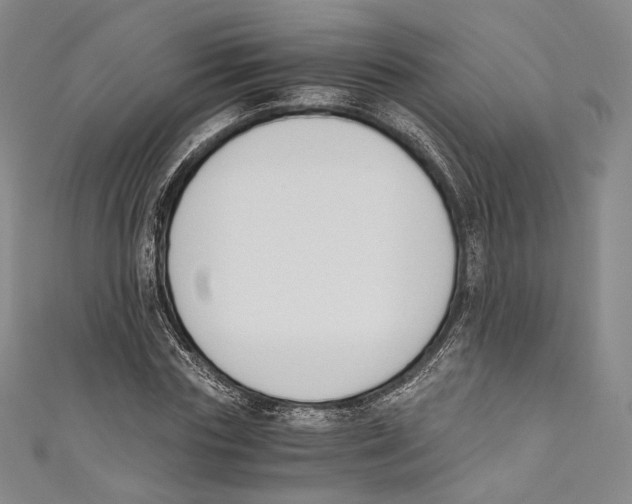 X0000110690827200907101147