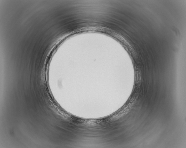 X0000110690828200907101147