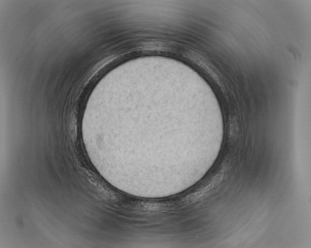 X0000110690829200907101147