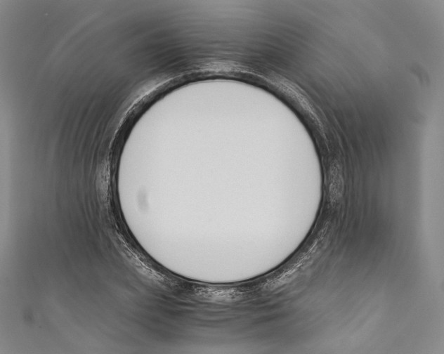 X0000110690831200907101147