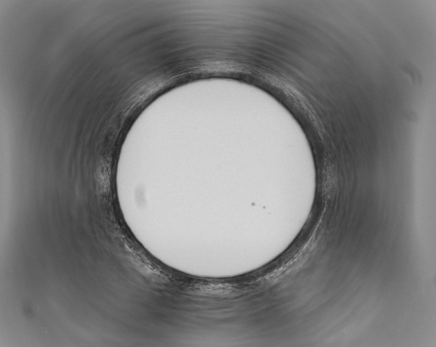 X0000110690833200907101147