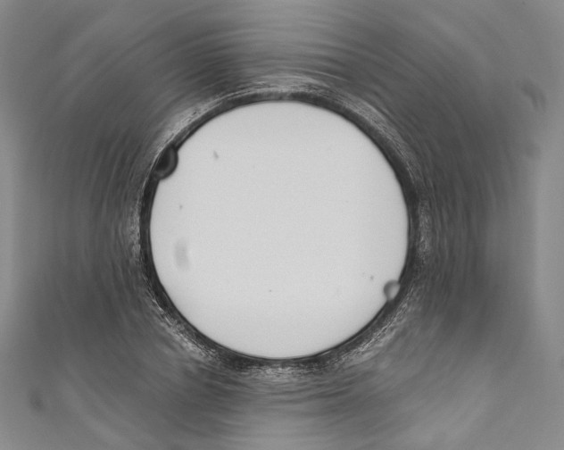 X0000110690834200907101147