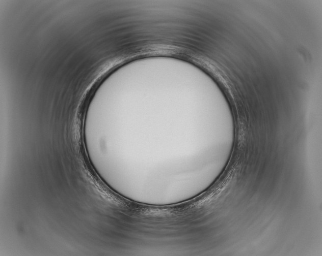 X0000110690835200907101147