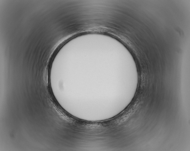 X0000110690838200907101147