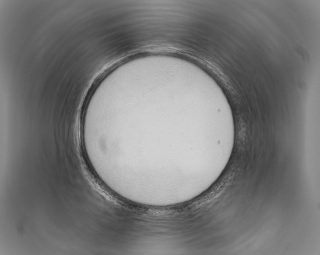 X0000110690840200907101147