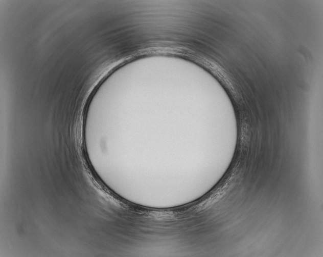 X0000110690844200907101147