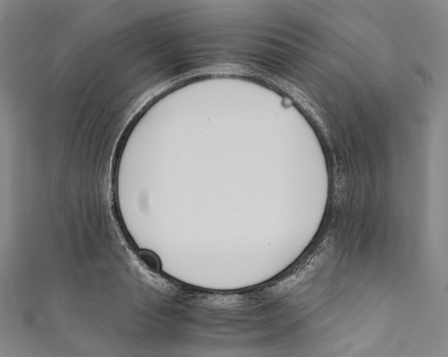 X0000110690845200907101147