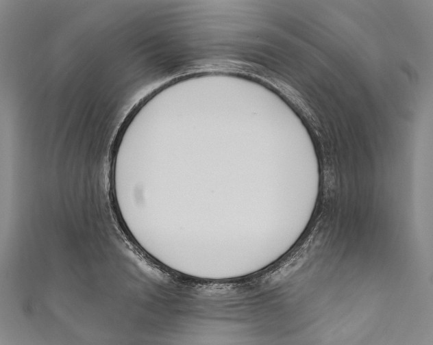 X0000110690846200907101147