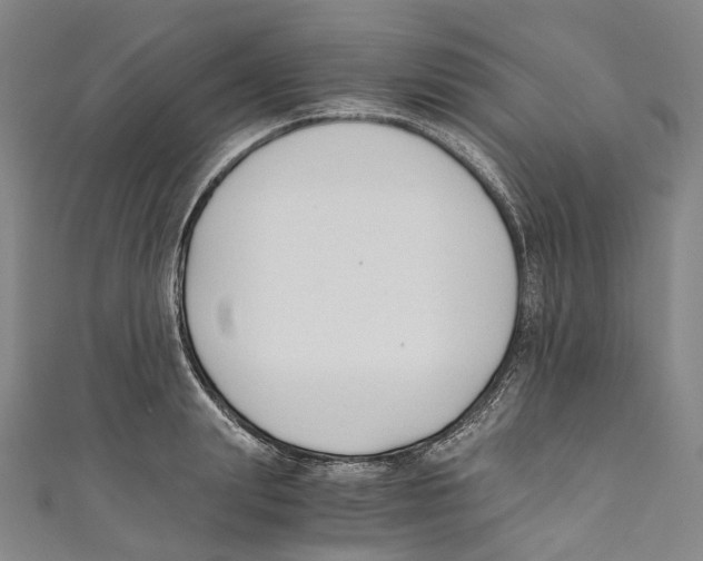 X0000110690847200907101147