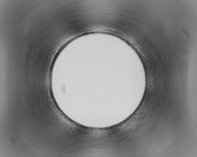 X0000110690848200907101147