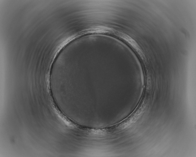 X0000110690850200907101147