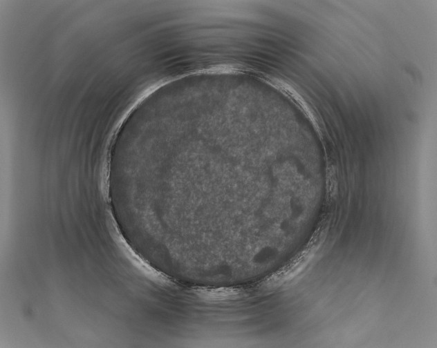 X0000110690851200907101147