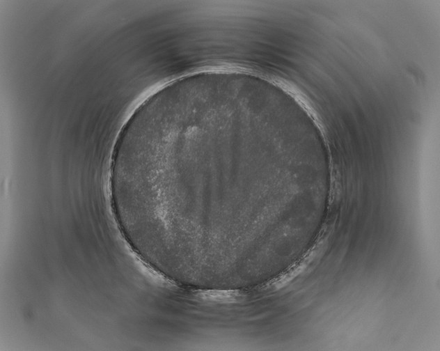 X0000110690853200907101147