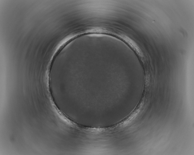 X0000110690854200907101147