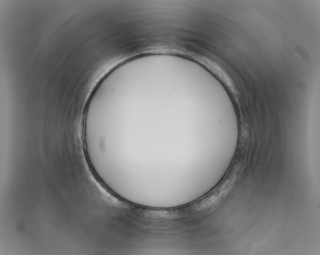 X0000110690855200907101147