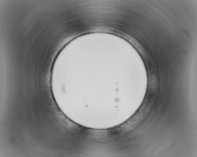 X0000110690856200907101147