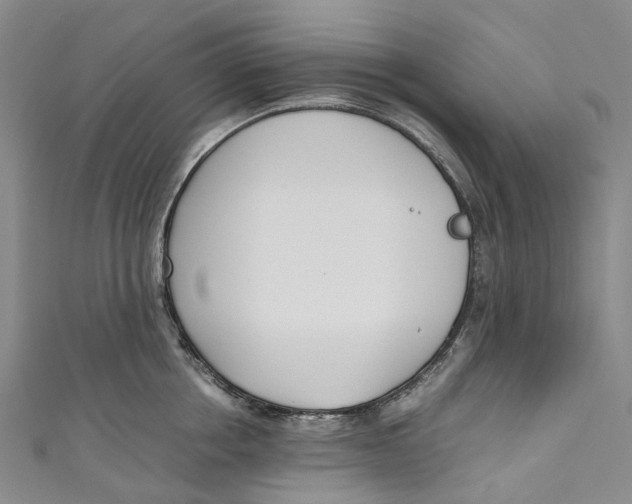 X0000110690858200907101147