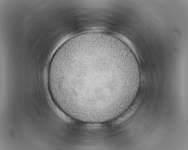 X0000110690859200907101147