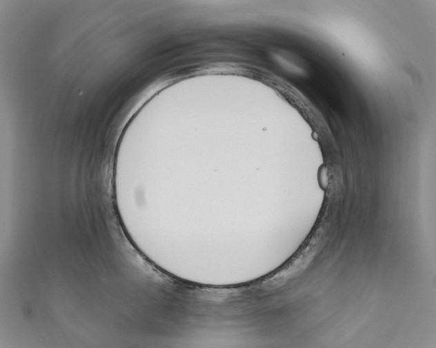 X0000110690860200907101147