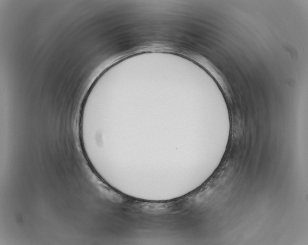 X0000110690861200907101147