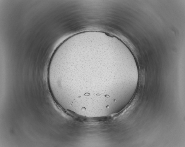 X0000110690862200907101147