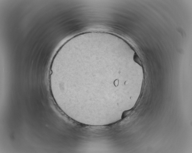 X0000110690864200907101147