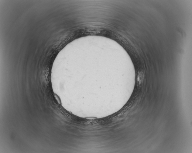 X0000110690867200907101146