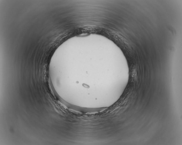 X0000110690868200907101146