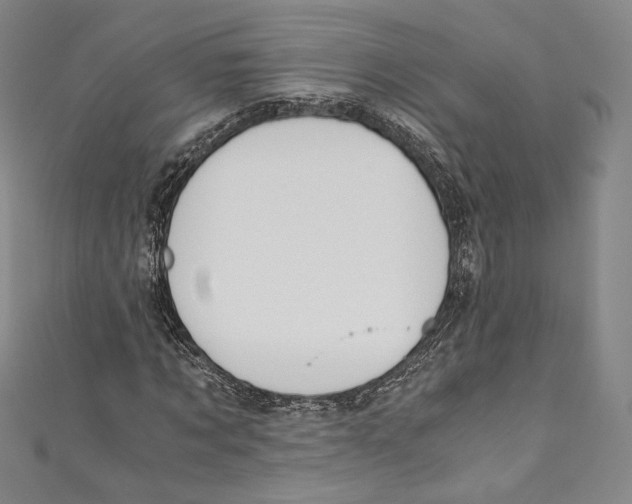 X0000110690869200907101146