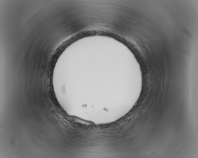 X0000110690872200907101146