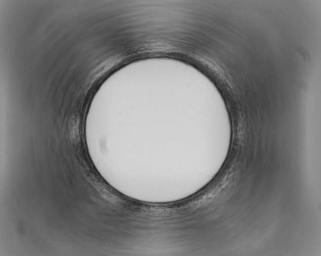 X0000110690873200907101146