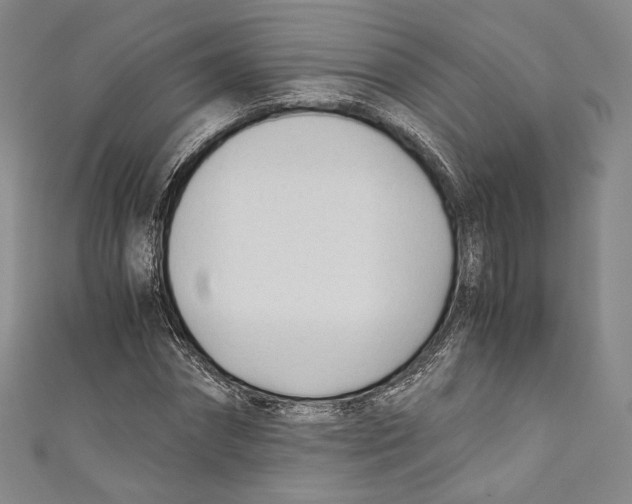 X0000110690874200907101146