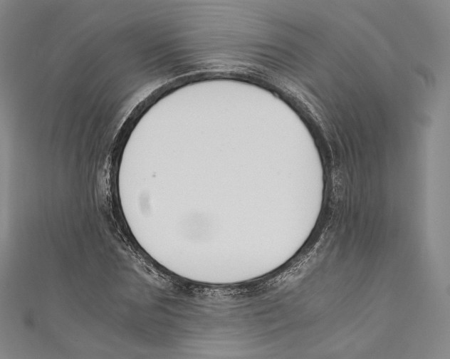 X0000110690875200907101146