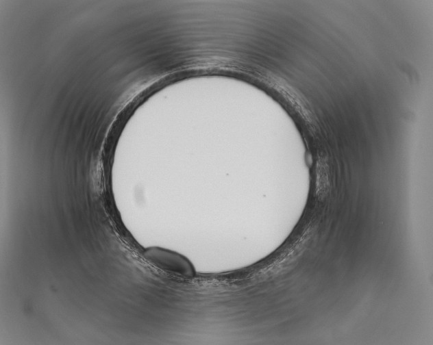 X0000110690876200907101146