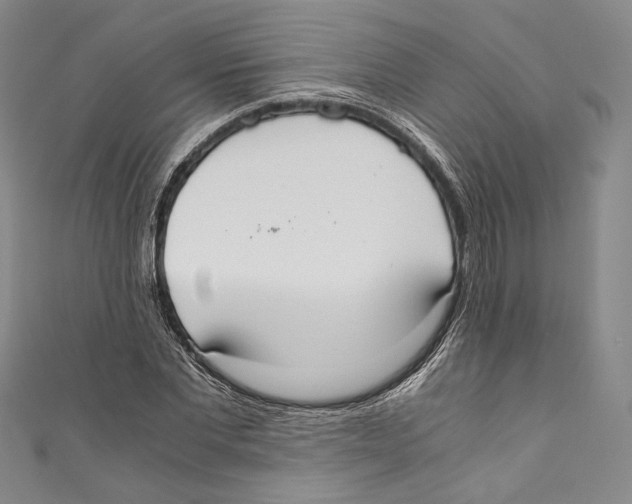 X0000110690877200907101146