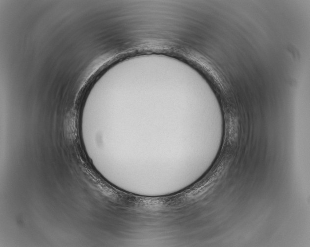 X0000110690878200907101146