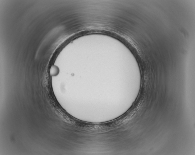 X0000110690879200907101146