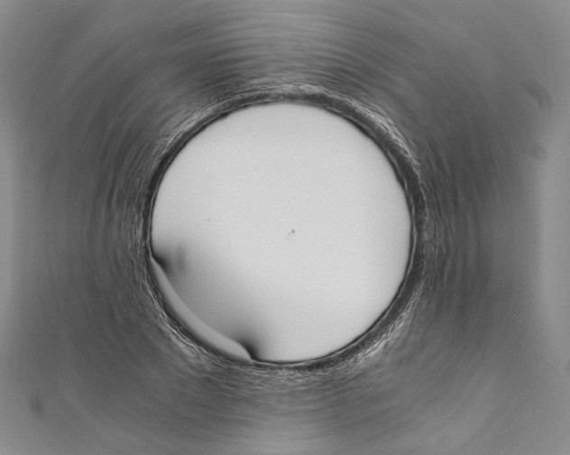 X0000110690881200907101146