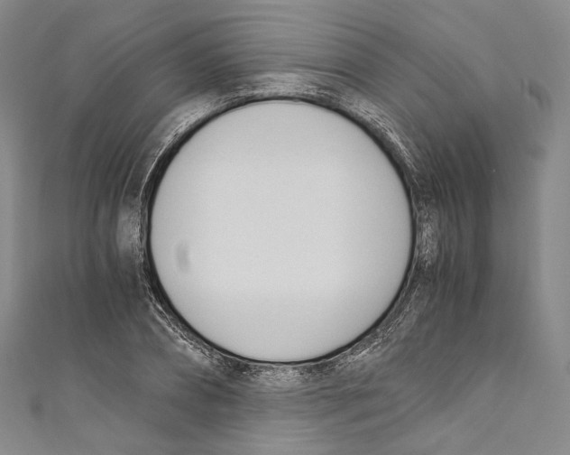 X0000110690882200907101146