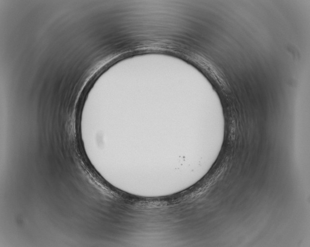 X0000110690884200907101146