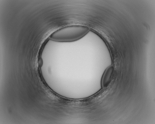 X0000110690885200907101146