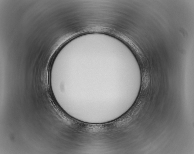 X0000110690886200907101146