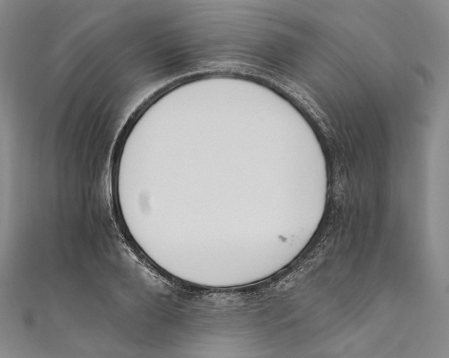 X0000110690888200907101146