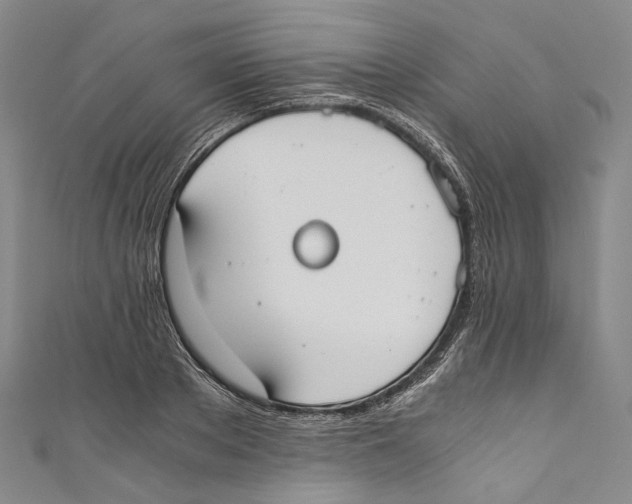 X0000110690889200907101146