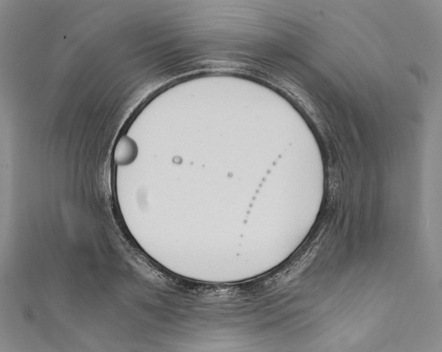 X0000110690891200907101146